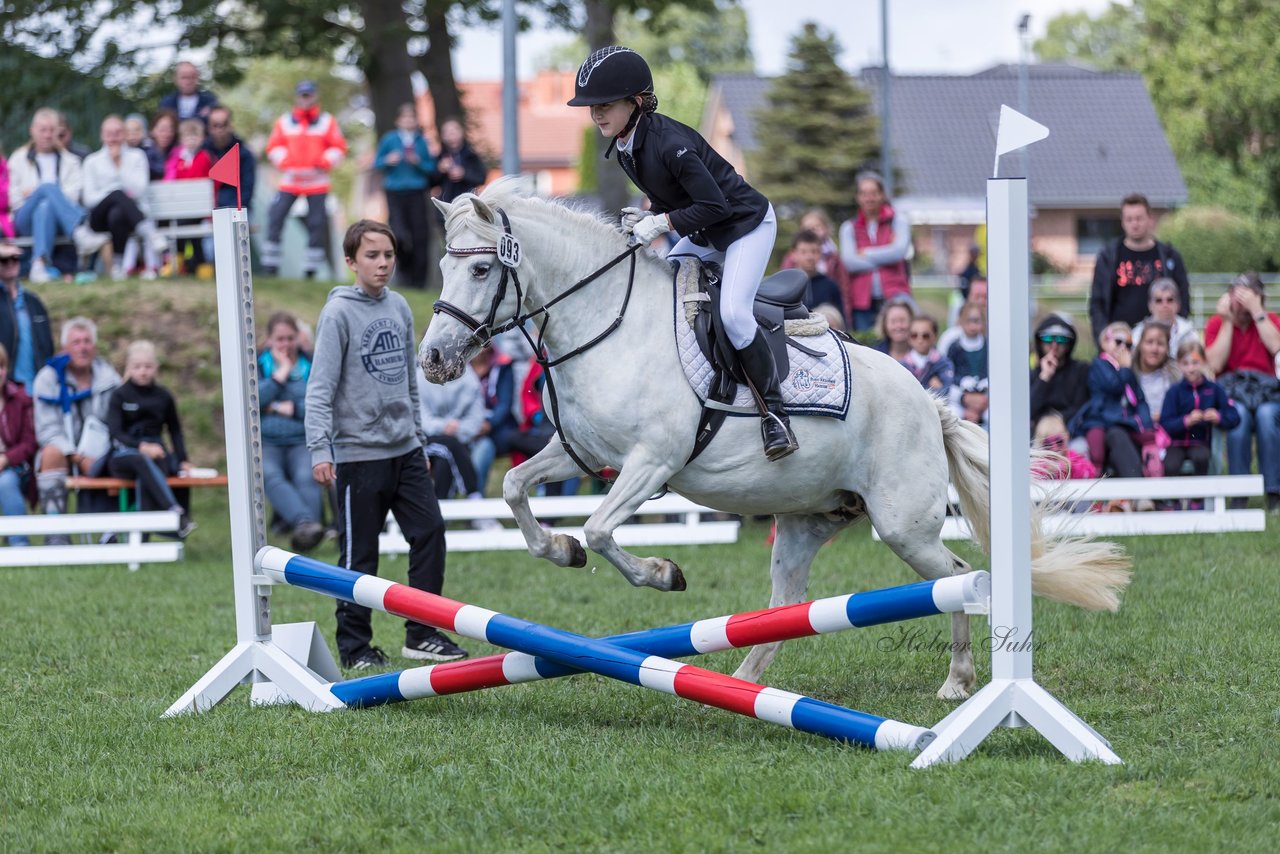 Bild 41 - Pony Akademie Turnier